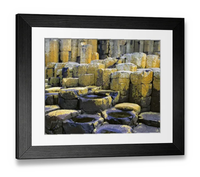 Framed Print : Colorful lichen forms on the basalt columns at the Giants Causeway, Antrim Coast Framed Print : Colorful lichen forms on the basalt columns at the Giants Causeway, Antrim Coast