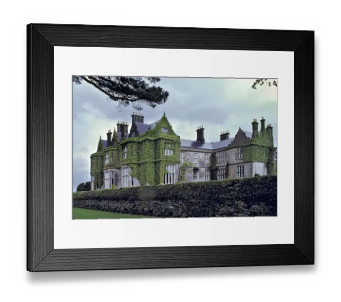 Framed Print : Europe, Ireland, Ring of Kerry. The stone sides of lovely Muckross House are draped in ivy vines Framed Print : Europe, Ireland, Ring of Kerry. The stone sides of lovely Muckross House are draped in ivy vines