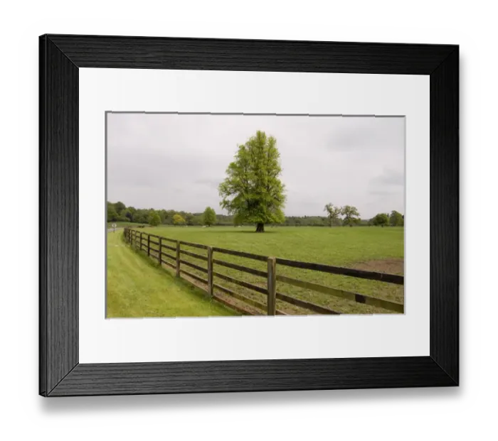 Framed Print : Mount Juliet Estate, Thomastown, County Kilkenny, Ireland
