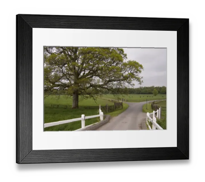 Framed Print : Mount Juliet Estate, Thomastown, County Kilkenny, Ireland Framed Print : Mount Juliet Estate, Thomastown, County Kilkenny, Ireland