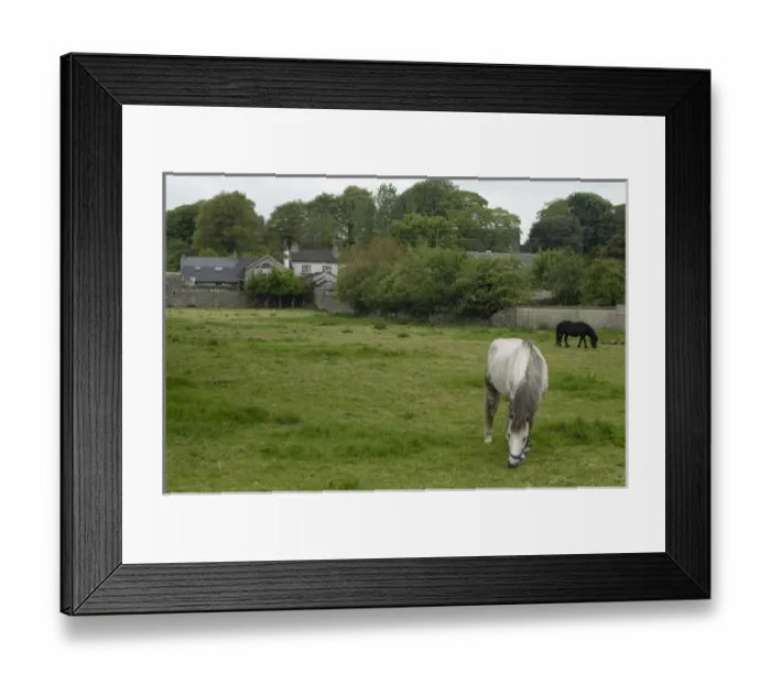 Framed Print : Thomastown, County Kilkenny, Ireland Framed Print : Thomastown, County Kilkenny, Ireland