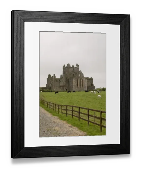 Framed Print : Dunbrody Abbey, Dumbrody, County Wexford, Ireland Framed Print : Dunbrody Abbey, Dumbrody, County Wexford, Ireland