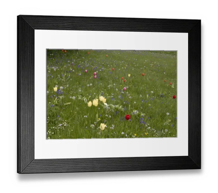 Framed Print : County Kilkenny, Ireland Framed Print : County Kilkenny, Ireland