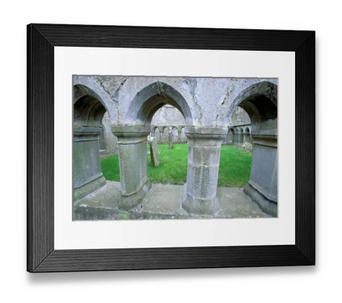 Framed Print : Ireland, Co mayo. Ross Abbey Framed Print : Ireland, Co mayo. Ross Abbey