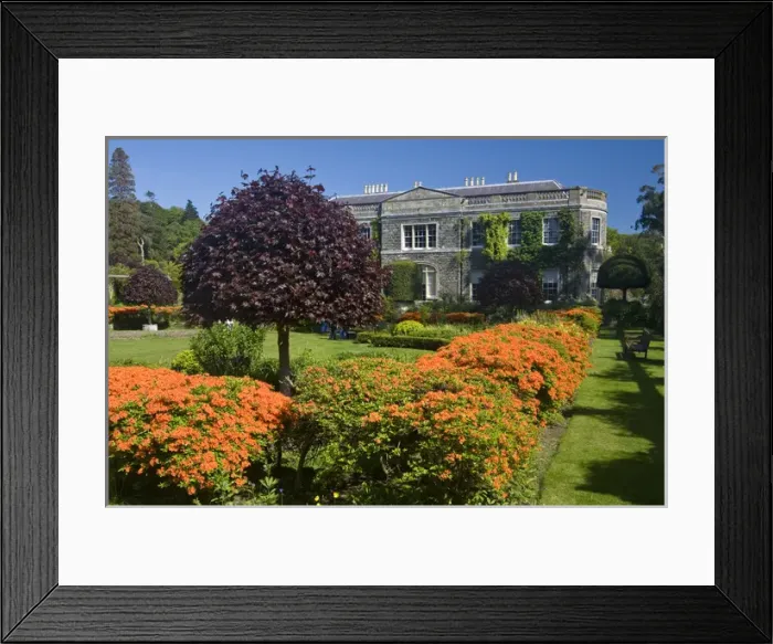 Framed Print : County Down, Ireland, formal garden, historic, wealth, orange, azalea