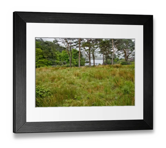 Framed Print : Killary Harbor, County Mayo, Ireland Framed Print : Killary Harbor, County Mayo, Ireland