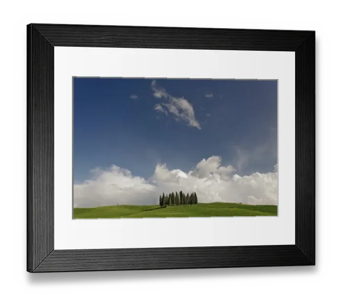 Framed Print : Distinctive cypress trees in Tuscany region of Italy