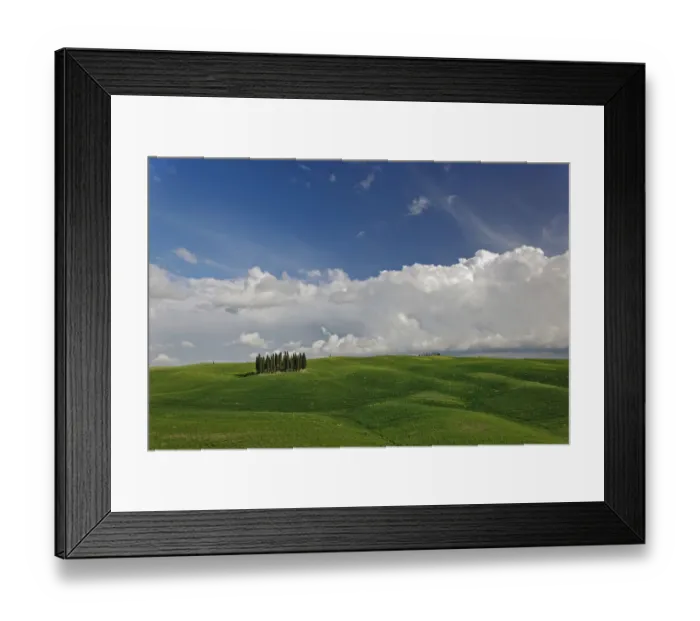 Framed Print : Distinctive cypress trees in Tuscany region of Italy