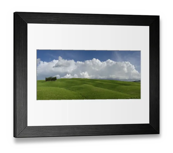 Framed Print : Distinctive cypress trees in Tuscany region of Italy