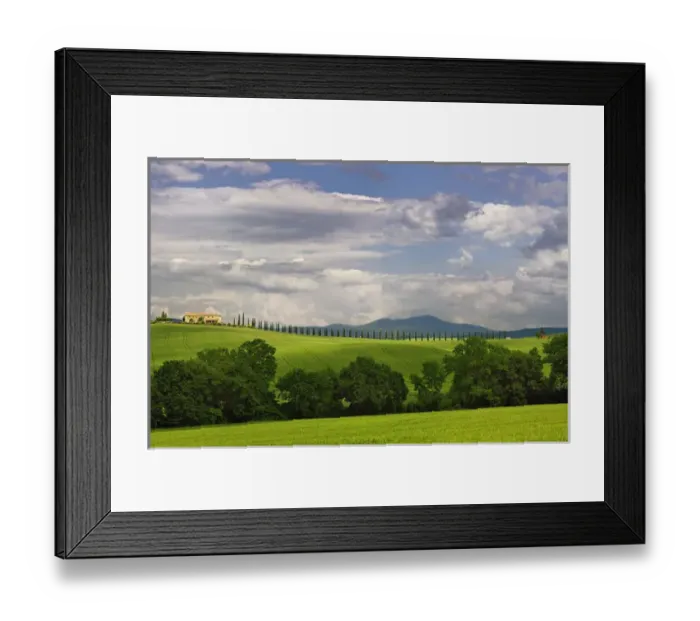 Framed Print : Wheat field and drive lined by stately cypress trees, Tuscany, Italy