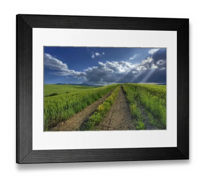 Framed Print : Sunbeams shining through clouds onto rural roadway; Tuscany Framed Print : Sunbeams shining through clouds onto rural roadway; Tuscany