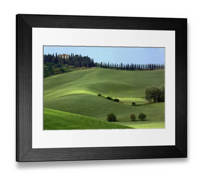 Framed Print : Rolling fields and row of cypress trees, Tuscany, Italy