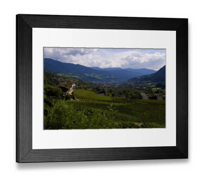 Framed Print : Vineyards and homes in small village vineyard near Bressanone Italy in the Italian Alps Framed Print : Vineyards and homes in small village vineyard near Bressanone Italy in the Italian Alps