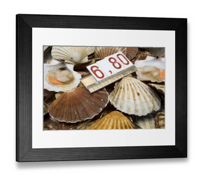 Framed Print : Europe, Italy, Venice. Fresh scallops for sale in the market. Credit as: Wendy Kaveney Framed Print : Europe, Italy, Venice. Fresh scallops for sale in the market. Credit as: Wendy Kaveney