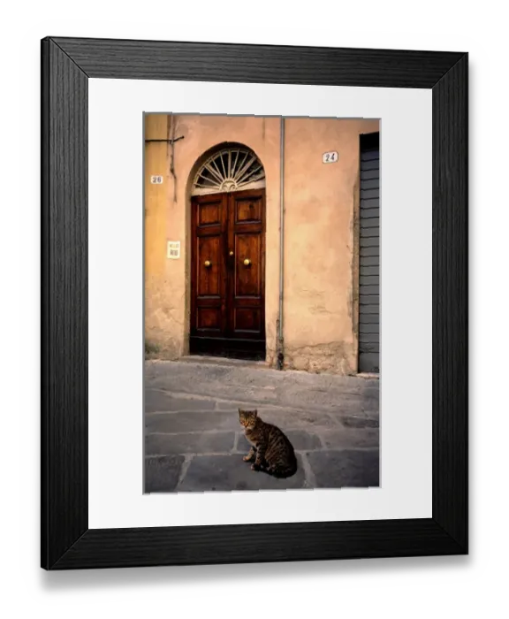 Framed Print : Cat in front of door to house, Lucca, Tuscany, Italy
