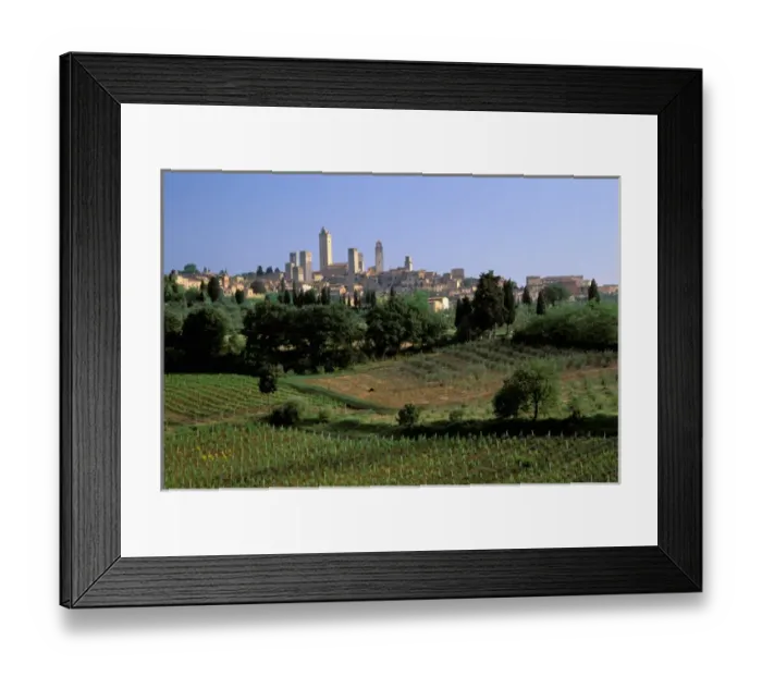 Framed Print : Europe, Italy, Tuscany, San Gimignano. Vineyards Framed Print : Europe, Italy, Tuscany, San Gimignano. Vineyards