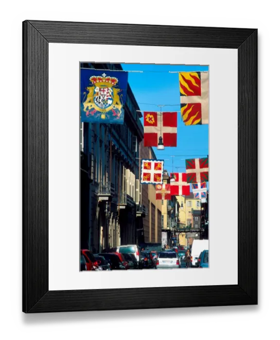 Framed Print : Europe, Italy, Turin. Banners, flags on the streets Framed Print : Europe, Italy, Turin. Banners, flags on the streets