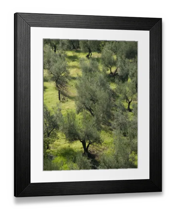 Framed Print : Italy, Cortona, Landscape near by Framed Print : Italy, Cortona, Landscape near by