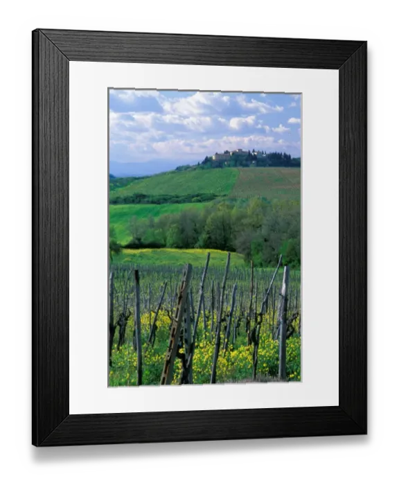 Framed Print : A sprawling vineyard in the rolling hills of Tuscany, Italy Framed Print : A sprawling vineyard in the rolling hills of Tuscany, Italy