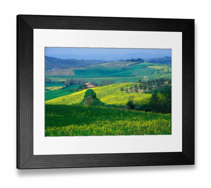 Framed Print : The rolling hills of the Tuscan countryside, North of Siena, Italy Framed Print : The rolling hills of the Tuscan countryside, North of Siena, Italy
