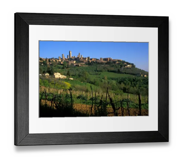 Framed Print : The vineyards of the Tuscan countryside, near San Gimignono Italy Framed Print : The vineyards of the Tuscan countryside, near San Gimignono Italy
