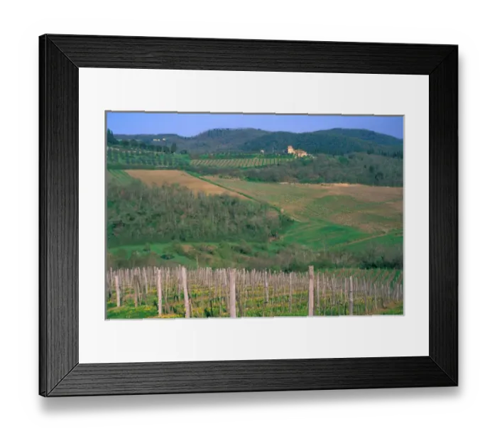 Framed Print : Italy, Tuscany, Small villa on vineyard covered hillside Framed Print : Italy, Tuscany, Small villa on vineyard covered hillside
