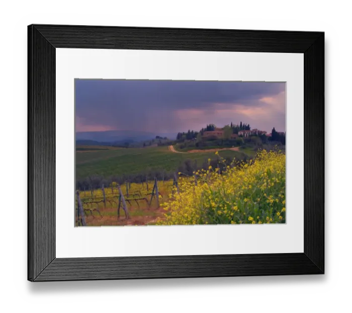 Framed Print : Italy, Greve, Villa surrounded by vineyards in the Tuscan countryside Framed Print : Italy, Greve, Villa surrounded by vineyards in the Tuscan countryside