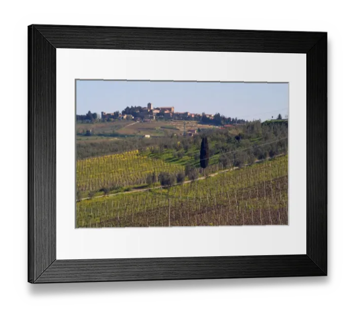 Framed Print : Italy, View of a Tuscan vineyard Framed Print : Italy, View of a Tuscan vineyard