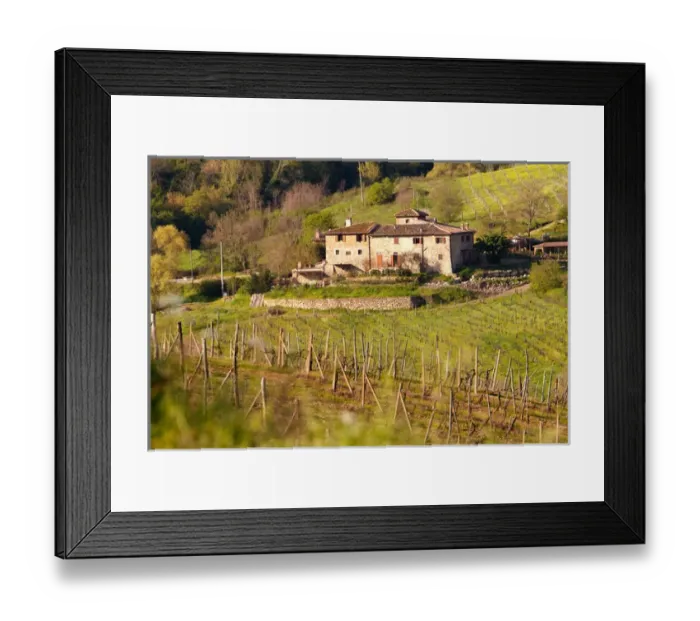 Framed Print : Italy, Tuscany, Greve, Poggio Asciutto, an Agriturismo bed and breakfast farm