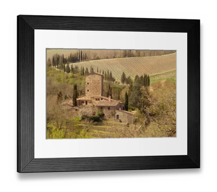 Framed Print : Italy, a Tuscan vineyard Framed Print : Italy, a Tuscan vineyard