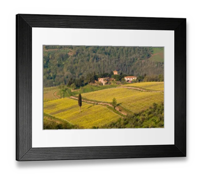 Framed Print : Yellow fields and the green Tuscan landscape surrounding a small group of buildings Framed Print : Yellow fields and the green Tuscan landscape surrounding a small group of buildings