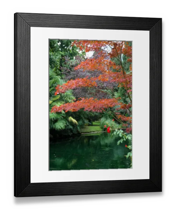 Framed Print : 04. Italy, Riva del Garda, gardens at Hotel Du Lac Framed Print : 04. Italy, Riva del Garda, gardens at Hotel Du Lac