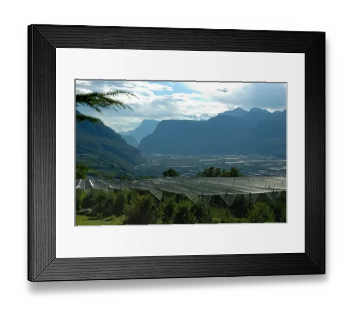 Framed Print : 04. Italy, Ticino valley, fruit orchard Framed Print : 04. Italy, Ticino valley, fruit orchard