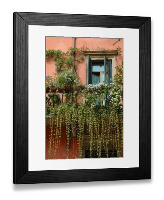 Framed Print : 04. Italy, Verona, balcony garden in historic town center Framed Print : 04. Italy, Verona, balcony garden in historic town center