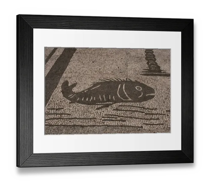 Framed Print : Roman mosaic. Fish. From the Forum of the Corporations or Piazza delle Corporazione Framed Print : Roman mosaic. Fish. From the Forum of the Corporations or Piazza delle Corporazione