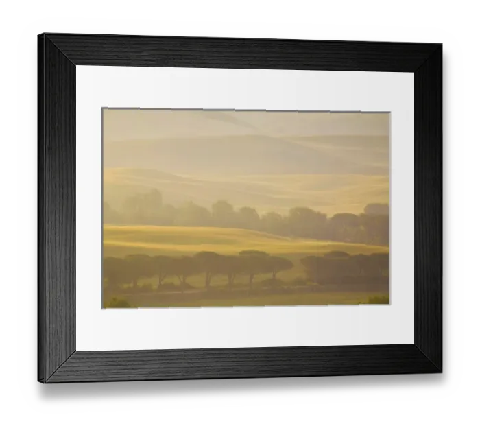 Framed Print : Europe, Italy, Tuscany, Layers of Trees and Wheat Fields in the Fog Framed Print : Europe, Italy, Tuscany, Layers of Trees and Wheat Fields in the Fog