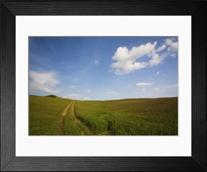 Framed Print : Europe, Italy, Tuscany, Back Road Leading Through Field of Clover