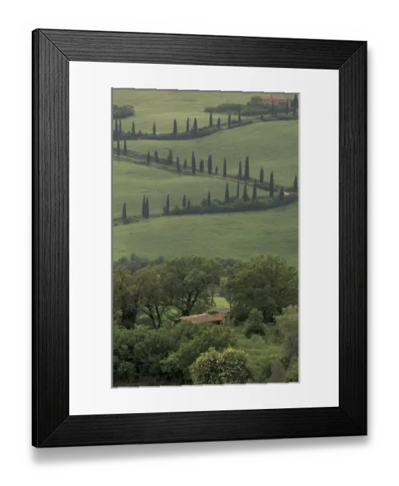 Framed Print : Europe, Italy, Tuscany, La Foce Curvy dirt Tuscan road (Pienza area) Framed Print : Europe, Italy, Tuscany, La Foce Curvy dirt Tuscan road (Pienza area)