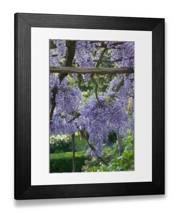 Framed Print : Europe, Italy, Campania, (Amalfi Coast), Ravello: Villa Cimbrone- Gardens with Spring