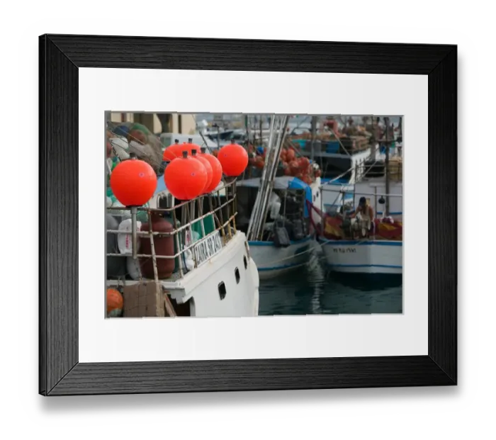 Framed Print : ITALY-Sicily-SIRACUSA (Syracuse): Ortygia Island- Fishing Port Framed Print : ITALY-Sicily-SIRACUSA (Syracuse): Ortygia Island- Fishing Port