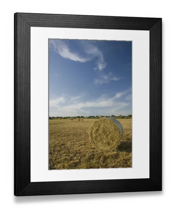Framed Print : ITALY-Sicily-MODICA: Hay Rolls at Sunset Framed Print : ITALY-Sicily-MODICA: Hay Rolls at Sunset