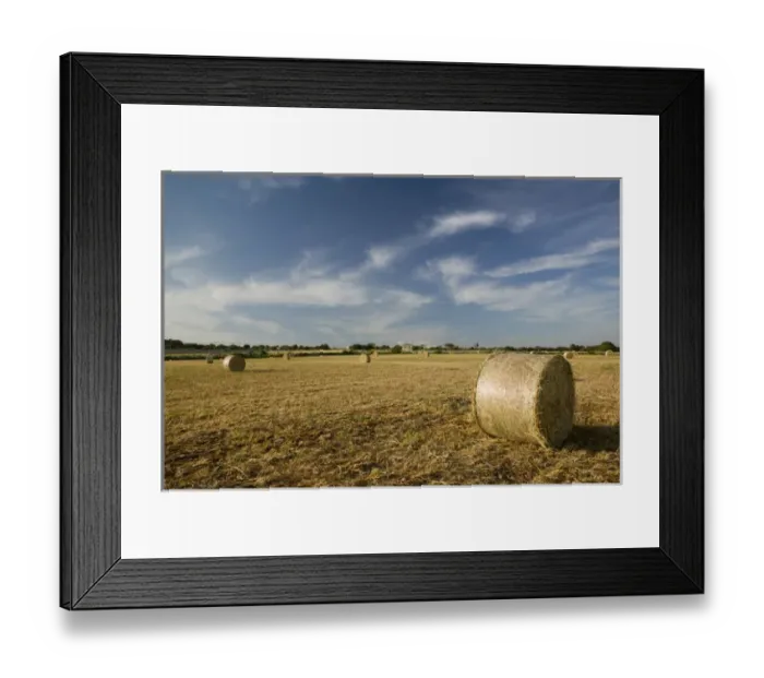 Framed Print : ITALY-Sicily-MODICA: Hay Rolls at Sunset