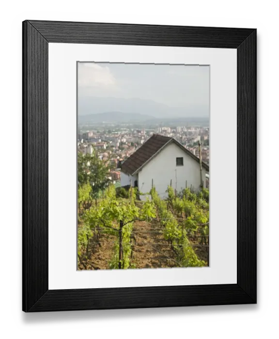 Framed Print : MACEDONIA, Tetovo. Vineyards above the city of Tetovo Framed Print : MACEDONIA, Tetovo. Vineyards above the city of Tetovo