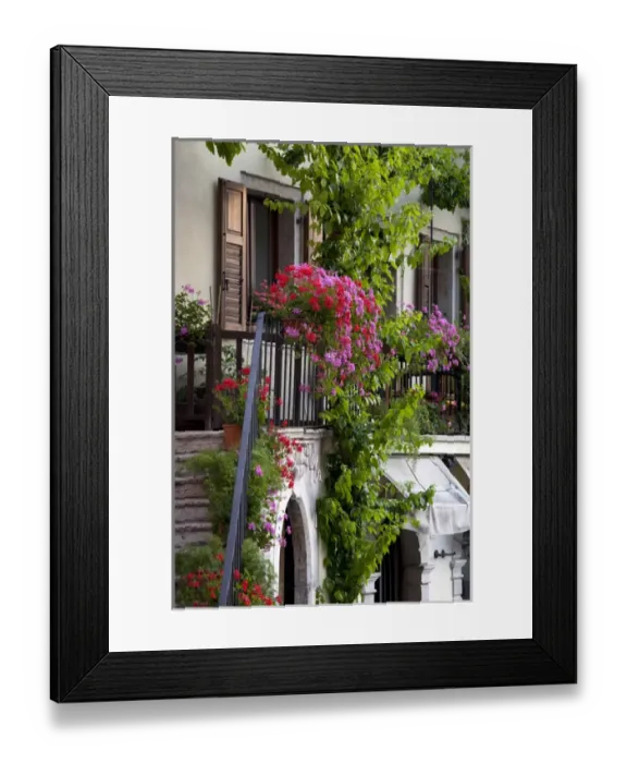 Framed Print : ITALY, Brescia Province, Limone sul Garda. Porto Vecchio, flowers Framed Print : ITALY, Brescia Province, Limone sul Garda. Porto Vecchio, flowers