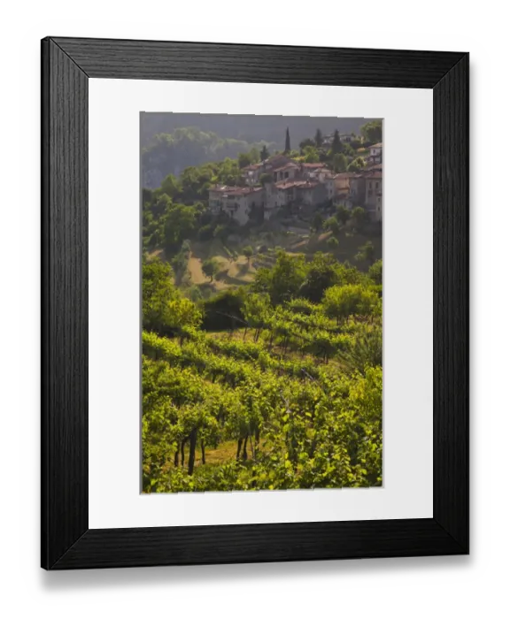 Framed Print : ITALY, Brescia Province, Tremosine. Sermerio vineyards