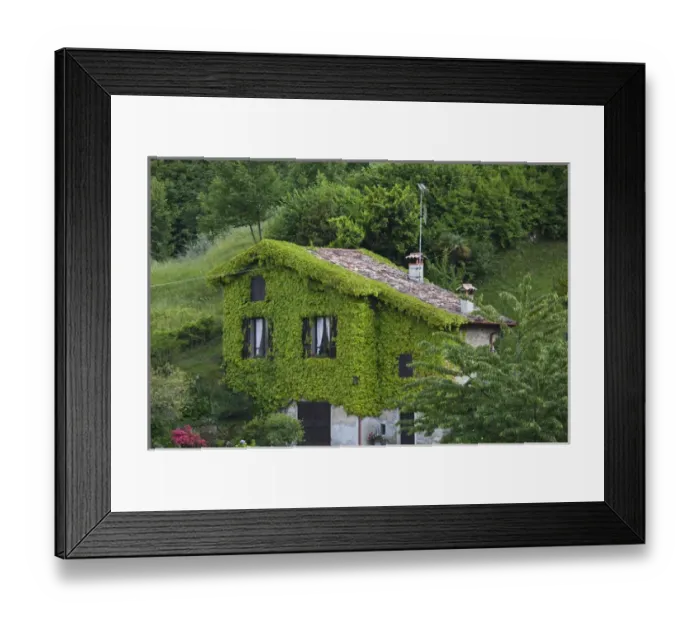 Framed Print : ITALY, Como Province, Bellagio. Leafy house Framed Print : ITALY, Como Province, Bellagio. Leafy house