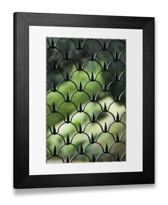Framed Print : ITALY, Como Province, Brunate. Villa fence detail Framed Print : ITALY, Como Province, Brunate. Villa fence detail