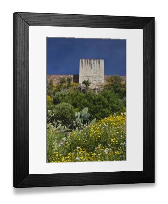 Framed Print : ITALY, Sardinia, Bosa. Cacti and Castello Malaspina Framed Print : ITALY, Sardinia, Bosa. Cacti and Castello Malaspina