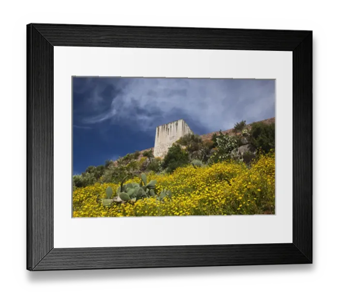 Framed Print : ITALY, Sardinia, Bosa. Cacti and Castello Malaspina