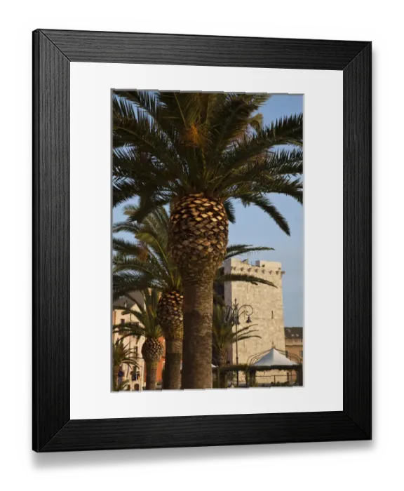 Framed Print : ITALY, Sardinia, Cagliari. Buildings and palms along Via Santa Croce in Il Castelo old town Framed Print : ITALY, Sardinia, Cagliari. Buildings and palms along Via Santa Croce in Il Castelo old town